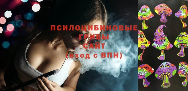 а пвп мука Алзамай
