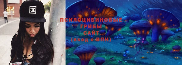 ГАЛЛЮЦИНОГЕННЫЕ ГРИБЫ Алексин