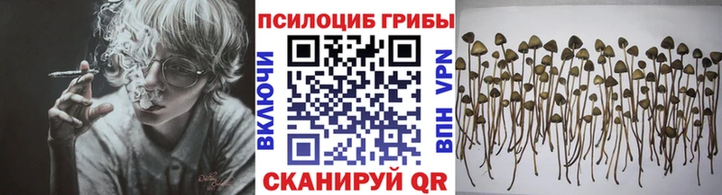 Псилоцибиновые грибы мухоморы  kraken маркетплейс  Новоульяновск 